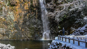 Minoh Park: You've never seen Osaka like this!