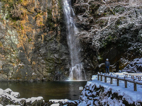 Minoh Park: You've never seen Osaka like this!