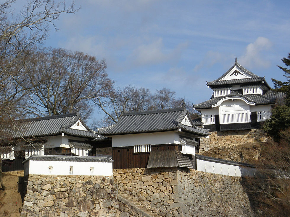 Bitchu-Matsuyama in Okayama is a mountain castle dating back to the 13th century
