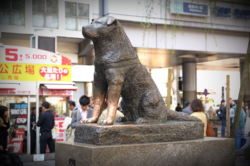 The Hachiko Statue (忠犬ハチ公像) is a beloved symbol of loyalty and devotion, representing one of Japan's most heartwarming true stories.