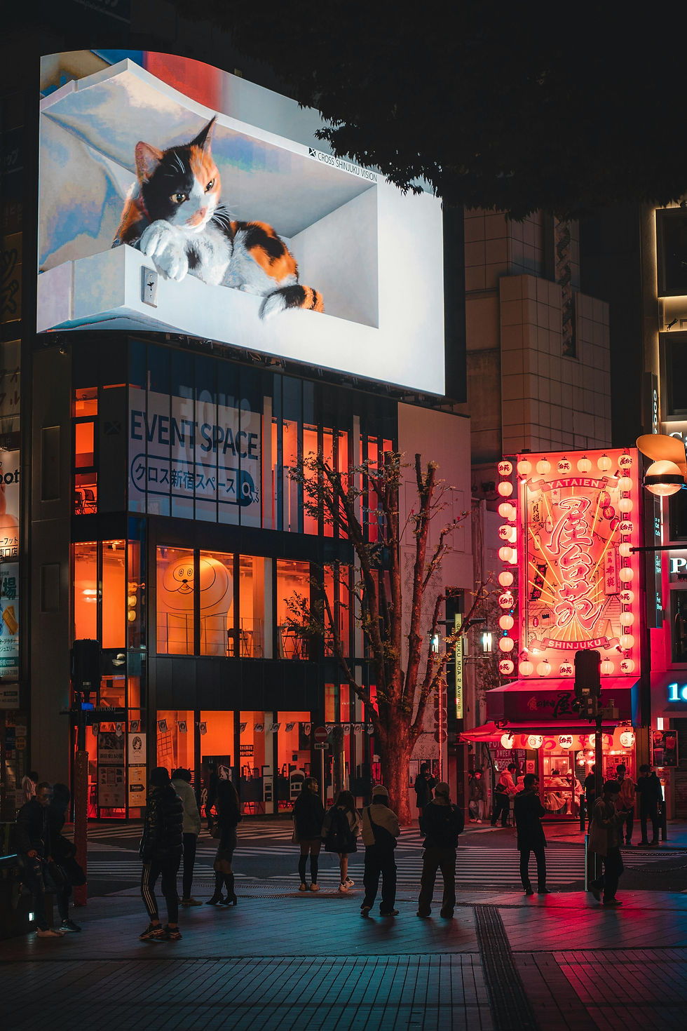 Possibly the cutest landmark in Tokyo! Get ready to be captivated by the 3D cat billboard in Shinjuku.