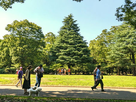 Yoyogi Park: a green oasis in central Tokyo