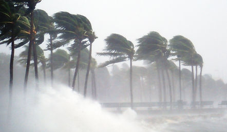 Typhoon season Japan: a tropical storm hits the coast of Okinawa, whipping palm trees and waves