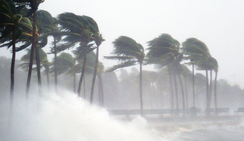 Typhoon season Japan: a tropical storm hits the coast of Okinawa, whipping palm trees and waves