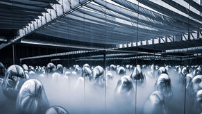 Part of the garden exhibition at TeamLab Planets in Tokyo - chrome blobs sit in a blanket of mist
