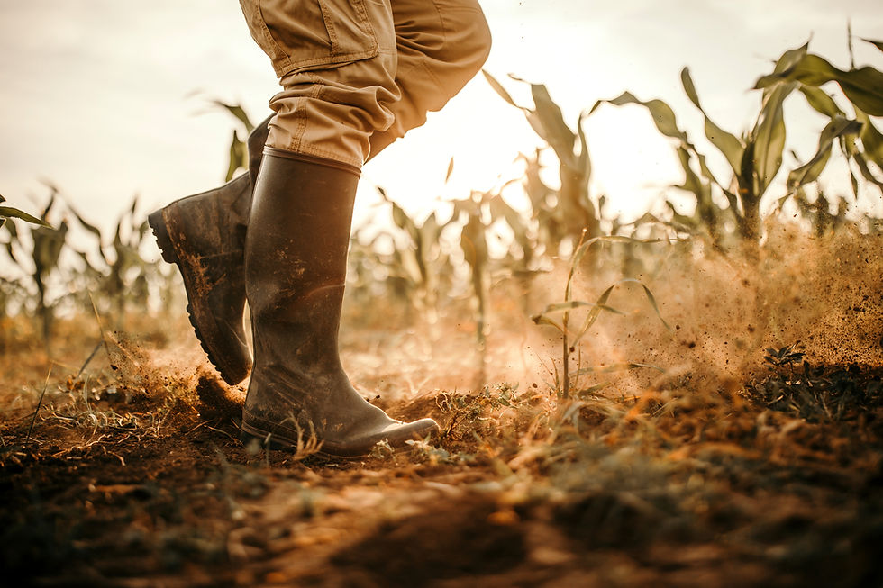 farmer-boots