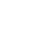 Super car icon
