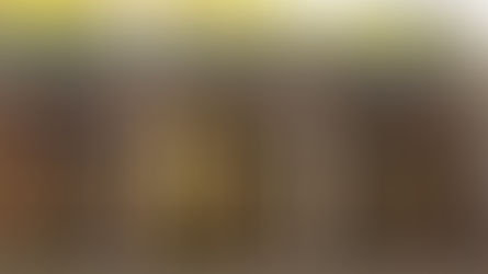 外匯基金第3季投資收入528億元 香港股票蝕3億元