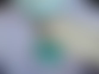 史美倫：將引入更多新經濟和生物科技公司來港上市