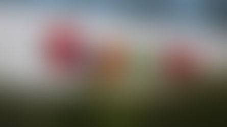 騰訊(00700)私有化搜狗達最終協議 料第4季完成交易