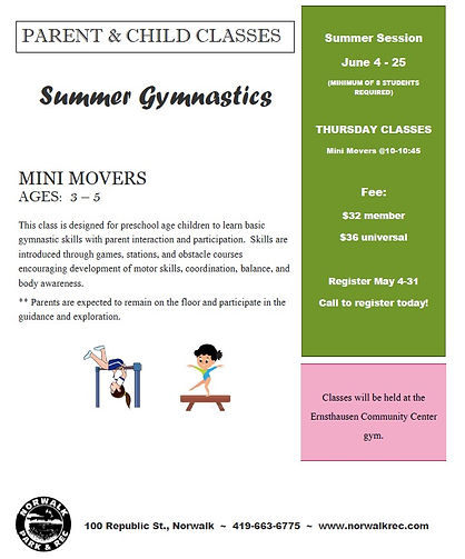 Mini Movers 6-26.jpg