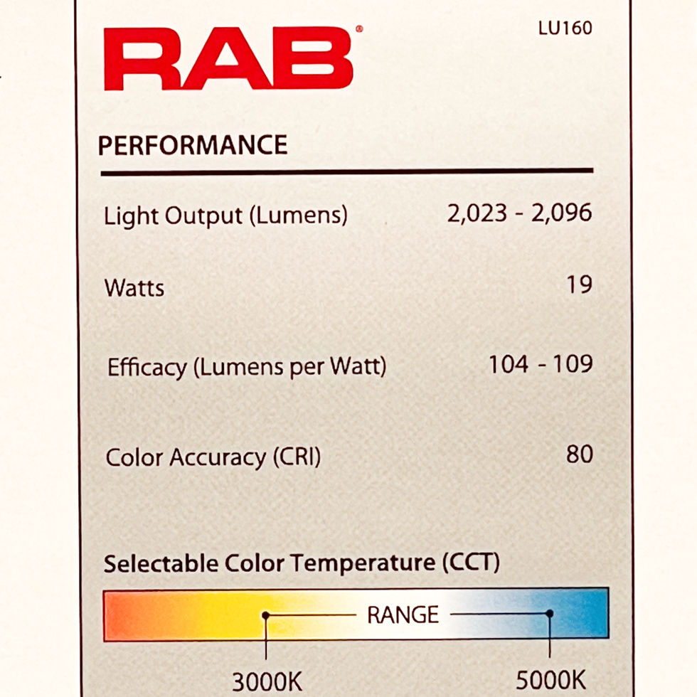 RAB LU160 LED Dusk to Dawn Dual Head Security Light