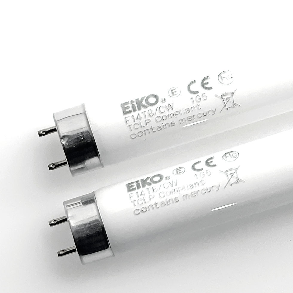Eiko 15519 F14T8/CW 14W T8 15 Inch 4100K Cool White Fluorescent Tube Light Bulb
