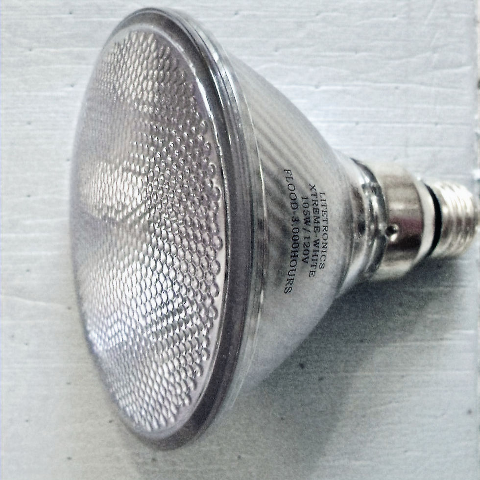 LiteTronics 105PAR38/FL 105W PAR38 Halogen Flood Light Bulb L-8801