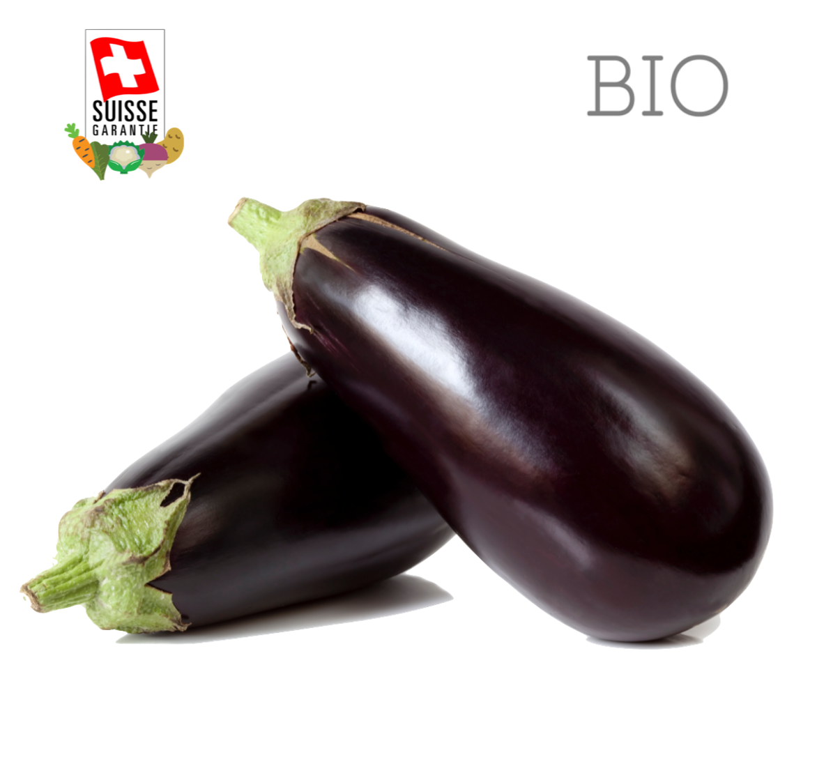 BIO - Aubergines - 1kg