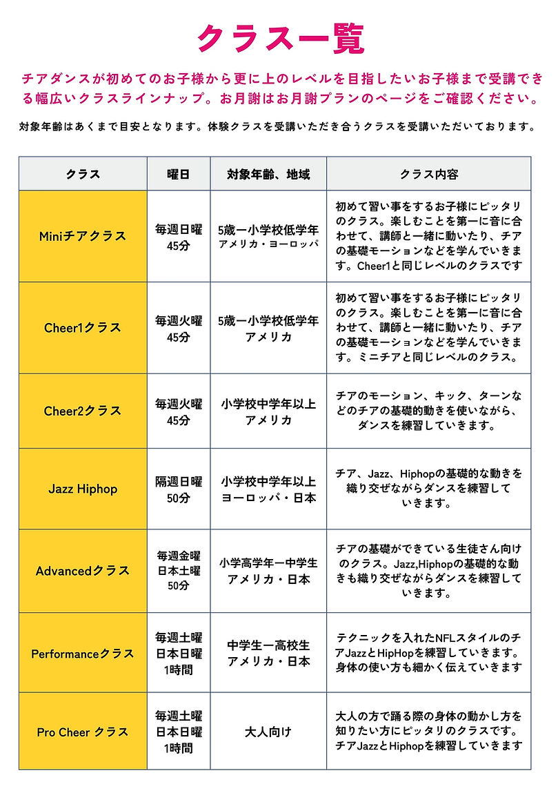 料金表 リスト 一覧 ビジネス プラン シンプル A4文書 仕事 (1).jpg