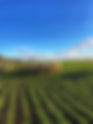 Dunthrop Farm Walk
