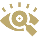 vision-oNuTSBV3jYPlld2V.webp