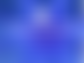 ✨ School Highlights of 2025