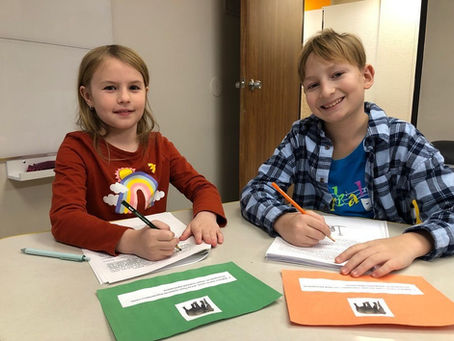 The Elephant project