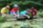 ckc3i78d466xwzc8yi9w6achv-camp19-boysatpond.0.0.1279.853.full.jpg