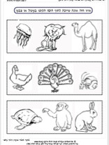 חיה אינה שייכת לחוף הים.jpg