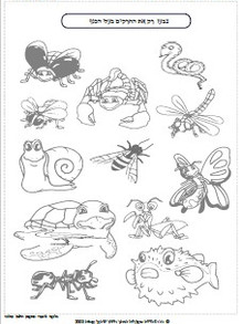 חרקים באביב 6.jpg