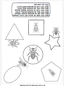 חרקים באביב 9(במקום 4).jpg