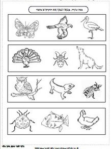 חרקים באביב 1.jpg