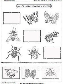 חרקים באביב 3.jpg