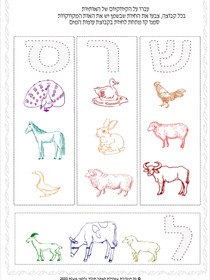 ScreenHunter 381.jpg