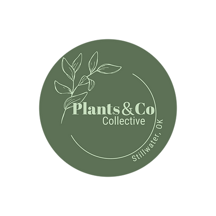 logo_darkgreen.png