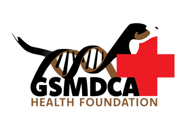GSMD-Health-4-Color.png