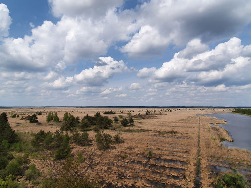 DRIE EXCURSIES IN 25 FOTO'S!