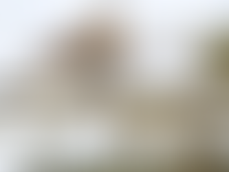 PRIVÉ-EXCURSIE: VAN BETROUWBARE-, ONBETROUWBARE EN VERRASSENDE UILEN, VAN FRATERS EN HOUTSNIPPEN!