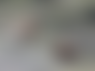 WEEKEND KWELDERTOCHT XL: KLEVERIGE KLEI, RASPENDE REMMEN, VRACHTEN FRATERS EN MASSA'S MERELS!