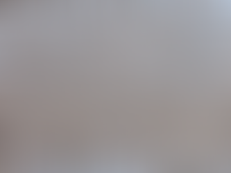 WEEKEND WESTHOEK: WADDENDYNAMIEK IN OPTIMA FORMA!