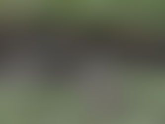 KWELDERTOCHT: DANKZIJ WEER EN WARMTEBEELD!