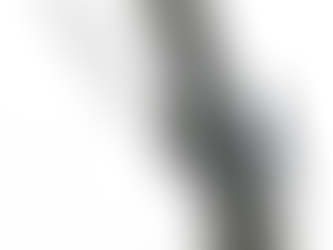 TWEE DAGEN, TWEE LANDEN, TWEE BOSSEN, ÉÉN CONCLUSIE: HET VOORJAAR NADERT!