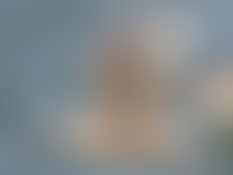 ZEEVOGELTOCHT "MISSIE PAPEGAAIDUIKER": HEILIGE GRAAL NOG EEN JAARTJE UITGESTELD...