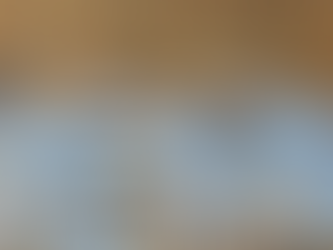 KWELDERTOCHT: LITTLE BIG 5 VAN DE KWELDER BINNEN EEN UUR EN IN DE ZON!