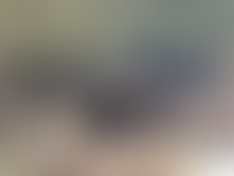 WANDELEXCURSIE VOGELZANG VELUWE: EEN FOTOVERSLAG VAN EEN FIJNE DAG!