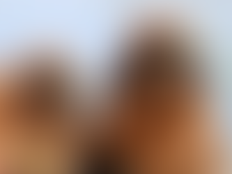 Wederom een succesvol broedgeval van Steppekiekendief: Het wonder van Groningen krijgt een vervolg!