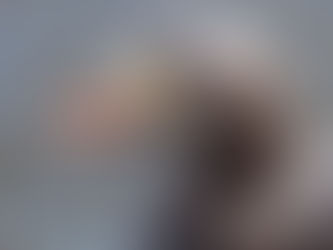 TEXEL NAJAAR: OUDE VRIENDEN!