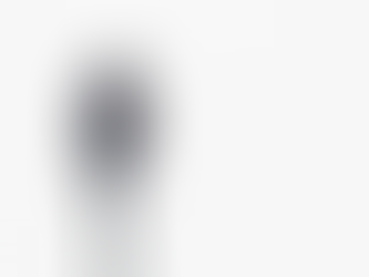 MINIBUSEXCURSIE ZEEARENDEN IN DE OOSTVAARDERSPLASSEN: SCHOOLREISJE MET GENODE GASTEN!