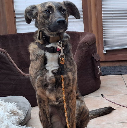 WhatsApp Bild 2025-11-26 um 16.37_edited