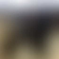 In Loving Memory of Baba Jaward