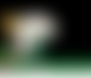 Harvesting Extraordinary