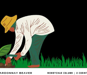 Harvesting Extraordinary