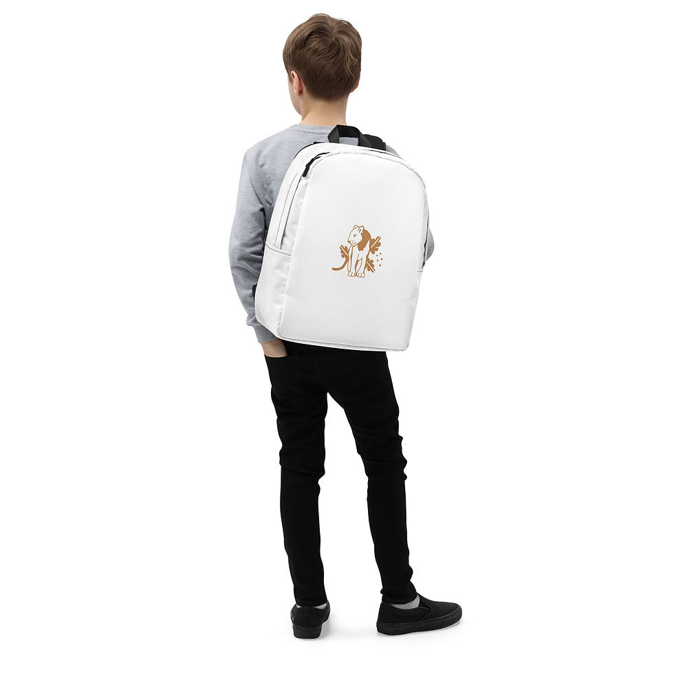 Miniature : Sac à dos minimaliste
